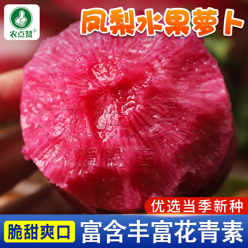 红萝卜种子凤梨水果萝卜种籽生吃脆甜种孑满堂红心萝卜紫美人籽种