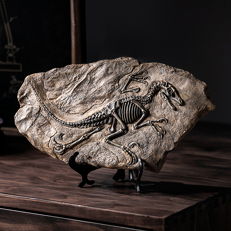 曼塔仿真恐龙化石模型复古工艺品标本摆设霸王龙摆件办公室装饰品