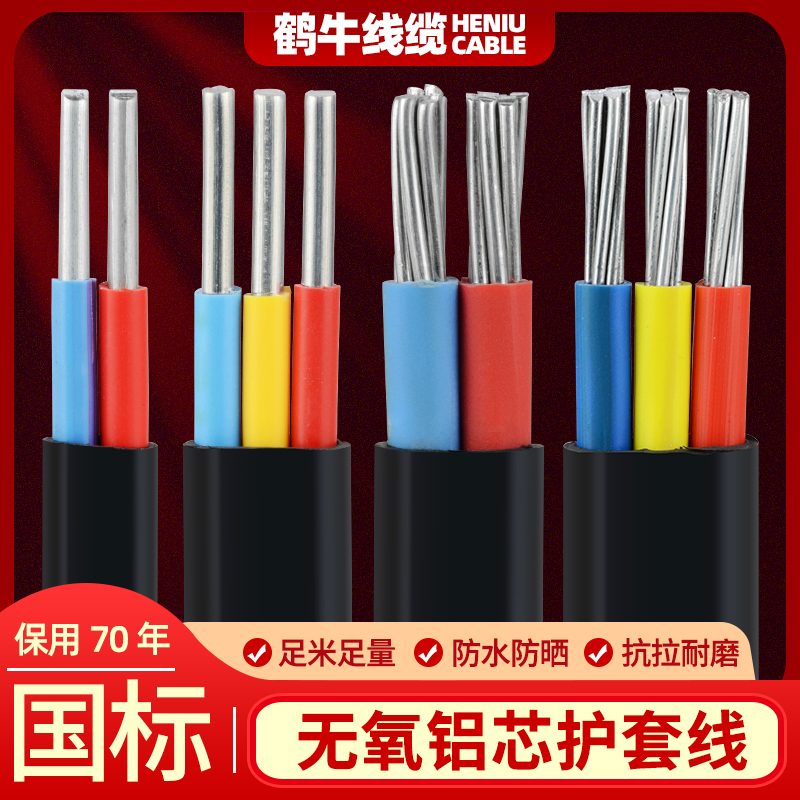 国标2芯3芯电缆线铝芯家用户外电线 4 6 10 16平方架空铝线护套线