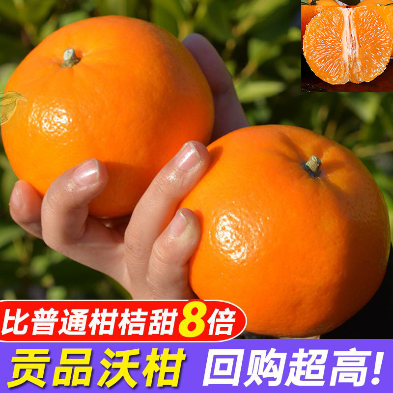 沃柑正宗广西武鸣薄皮桔子新鲜应季橘子超甜当季水果多汁孕妇水果