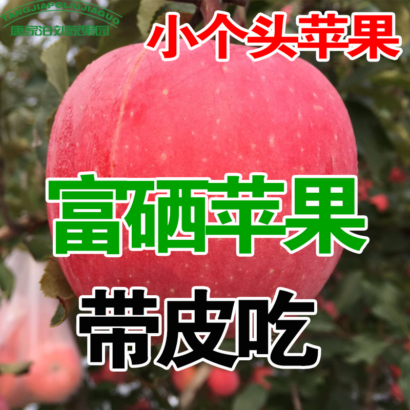 烟台红富士栖霞苹果一级果苹果小新鲜水果整箱应季5斤/13斤包邮