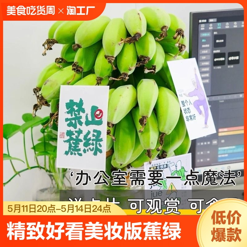 美妆版【禁止蕉绿】一整串带杆苹果蕉小米蕉办公室桌面水养小香蕉