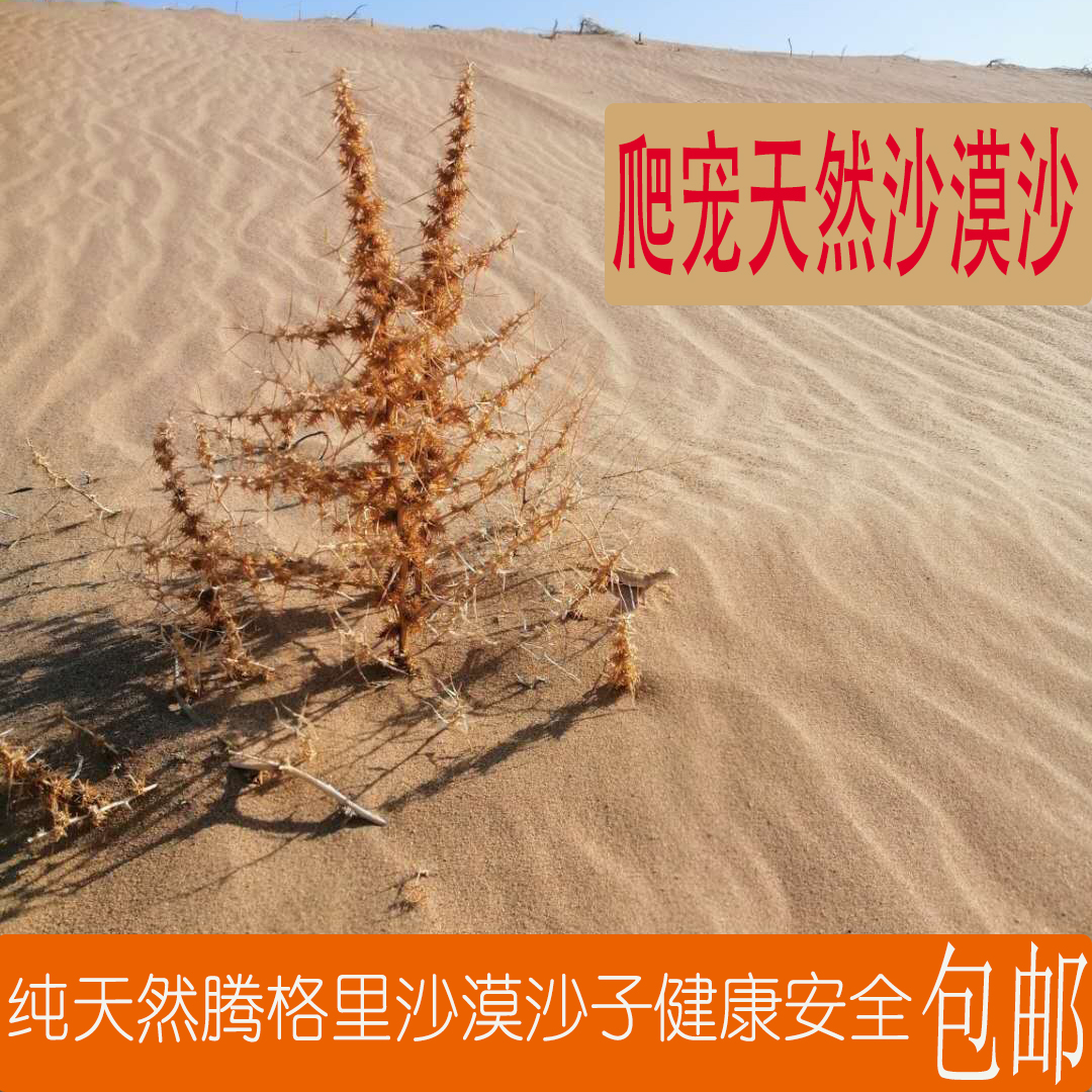天然沙漠沙子鬓狮爬虫沙砂爬虫沙子钙沙蜥蜴守宫沙造景蝎子爬虫