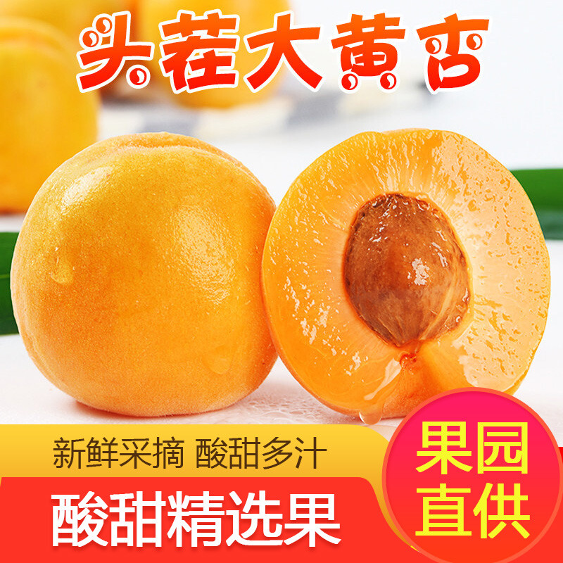 山西大黄杏新鲜孕妇水果现摘5斤整箱包邮酸甜脆杏大金太阳大黄杏
