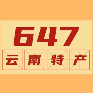 647云南特产店有限公司