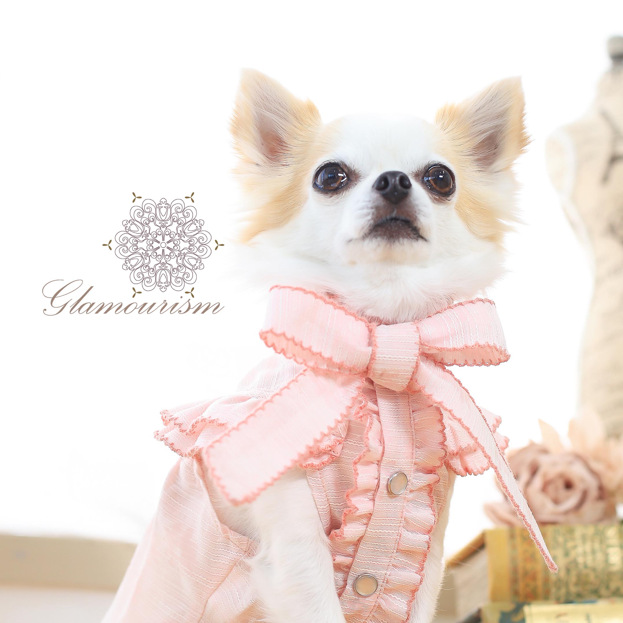 魅意 (Glamourism)日本品牌春夏宠服艾诺菈 上衣 高雅气质名媛风