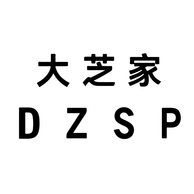 DZSP 大芝家高端女装 品质实拍有限公司