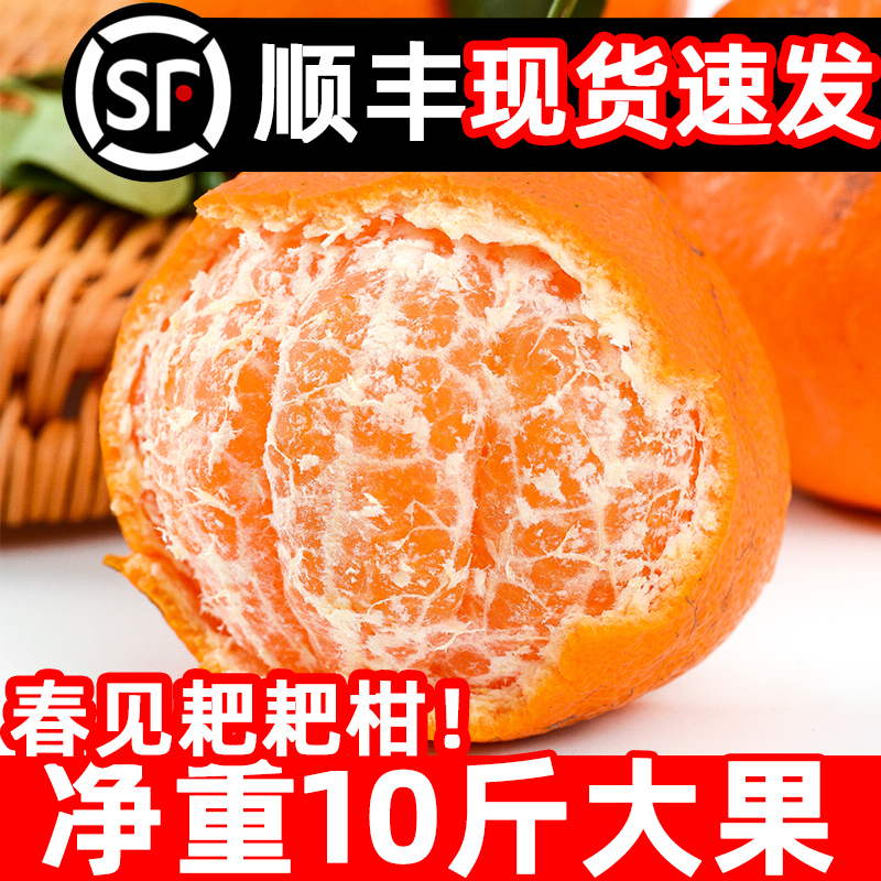 正宗四川春见耙耙柑10斤橘子新鲜水果丑柑桔粑粑柑当季杷杷柑礼盒