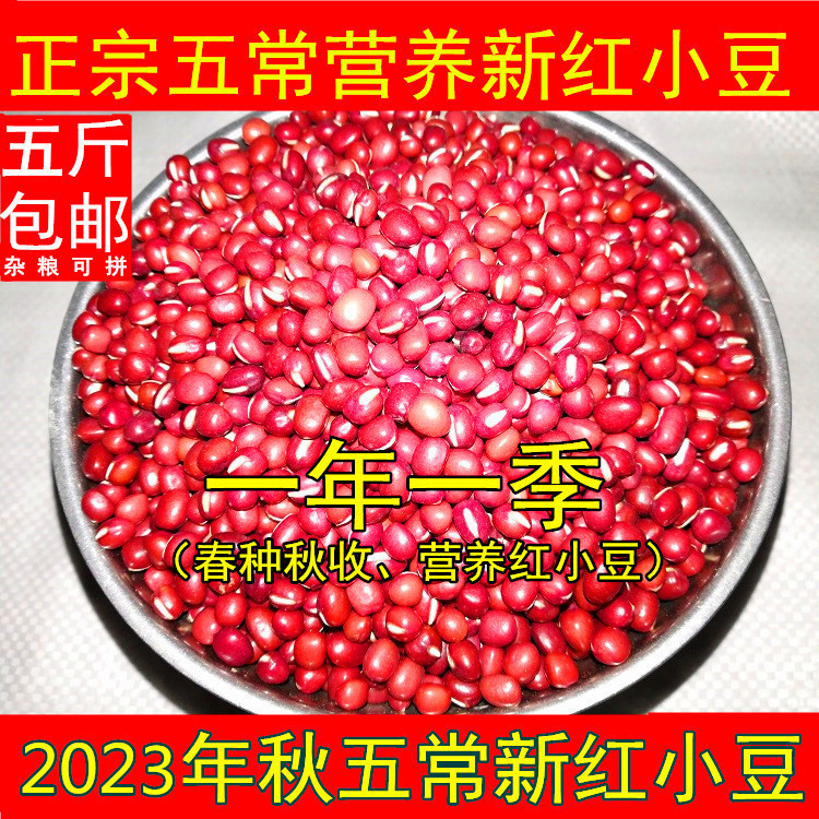 老兵米店新货东北五常农家自产红小豆新货粥500g红豆杂粮红豆粒