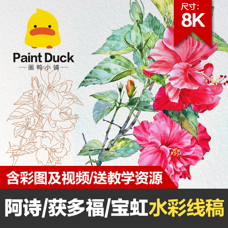 画鸭8K开花卉植物水彩线稿临摹草稿本水彩纸填色纸上色卡初学线描