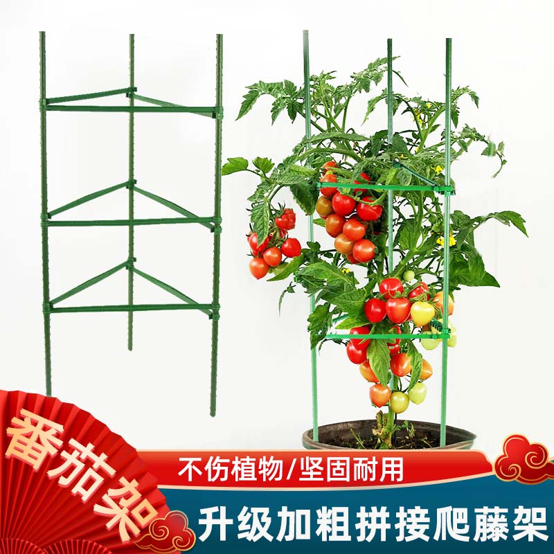 番茄架攀爬架西红柿黄瓜支撑杆种菜架庭院爬藤阳台月季花包塑架子