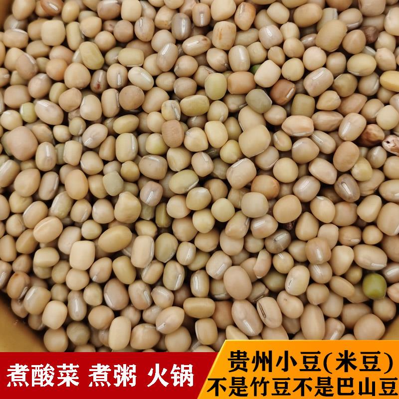 酸菜小豆贵州毕节金沙特产高原米豆新豆米酸菜豆米农家肥自种500g