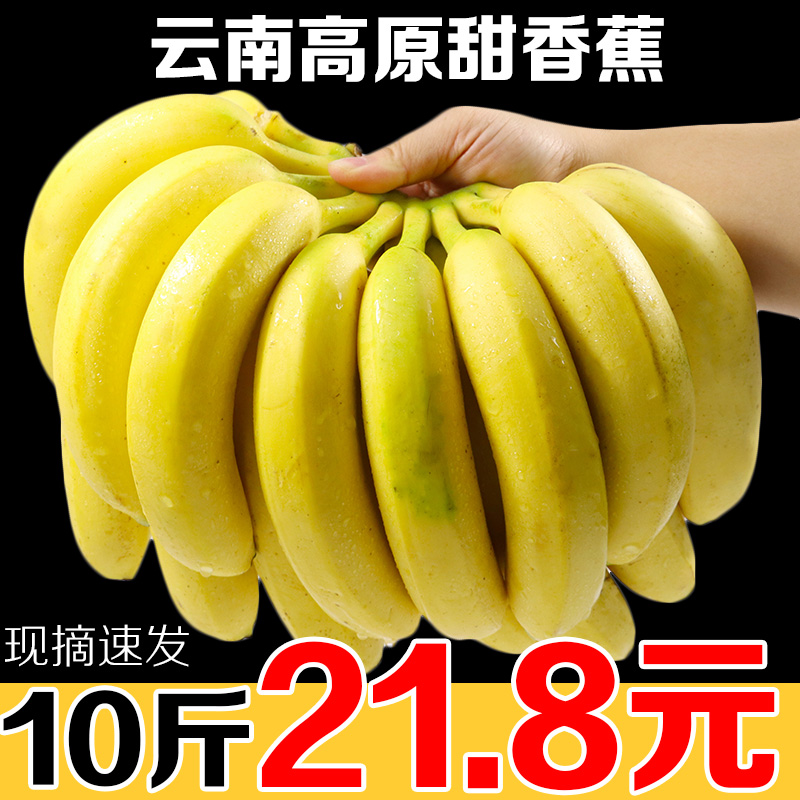 云南香蕉新鲜水果当季包邮整箱净重9斤自然熟带箱十斤不是小米蕉