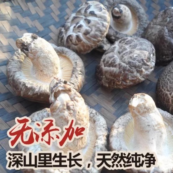 韶关南雄特产/油山香菇 花菇 农家纯天然木头蘑菇食用菌粤北干货