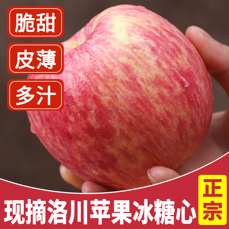 正宗陕西洛川苹果水果10斤延安红富士脆甜新鲜一整箱当应季冰糖心