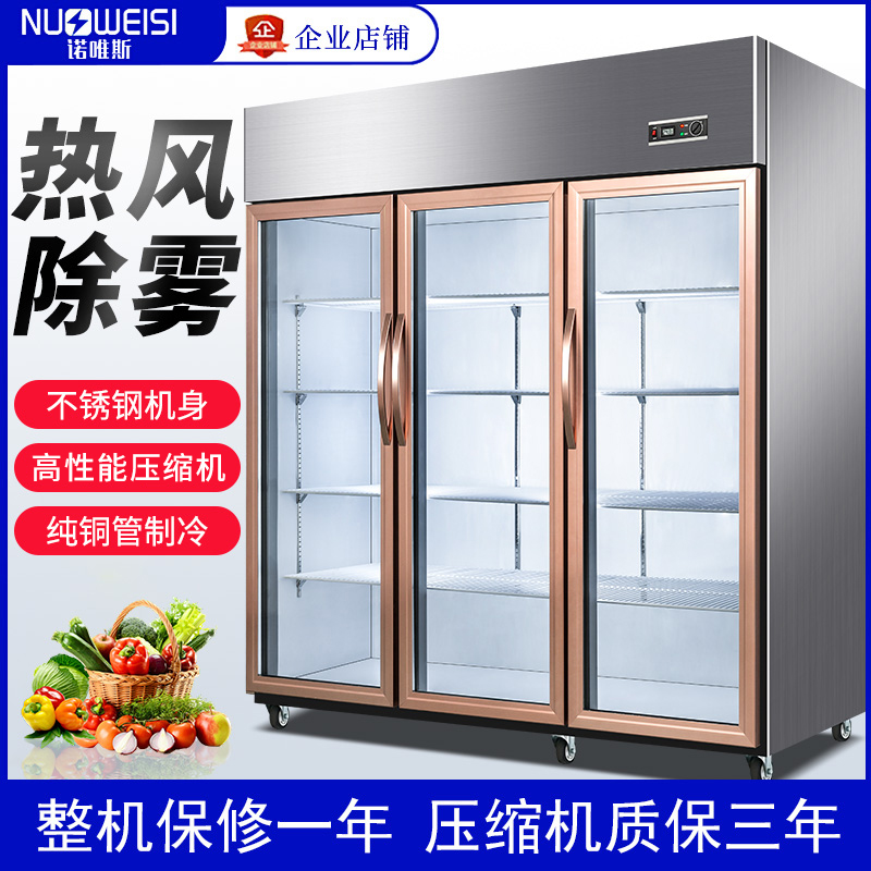 诺唯斯三开门冷藏展示柜保鲜柜商用三门麻辣烫串串点菜柜双门冰柜
