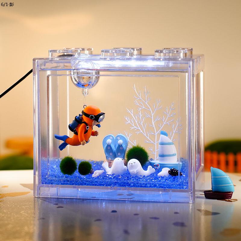 幸福海藻球diy创意生态瓶宠物水藻球马里莫微景观diy耐寒奇妙小屋