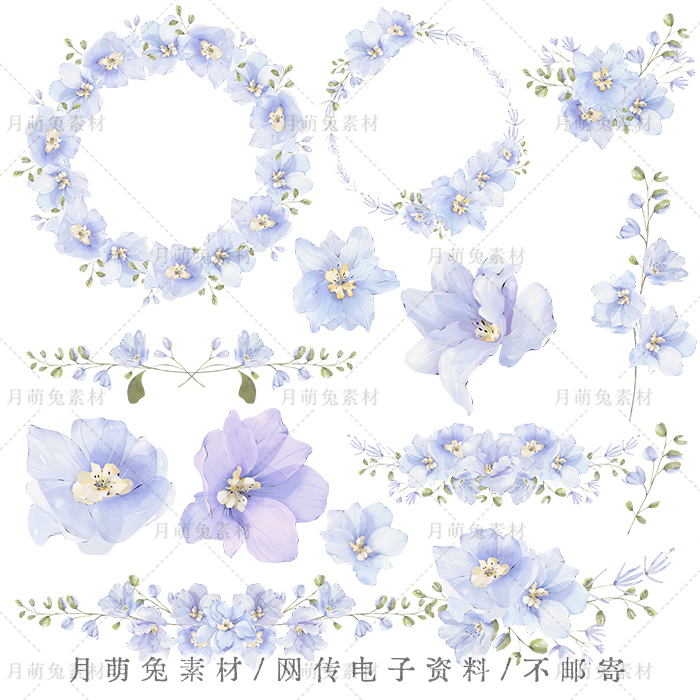 水彩蓝紫色飞燕草花卉插画海报装饰剪贴画手账png设计素材