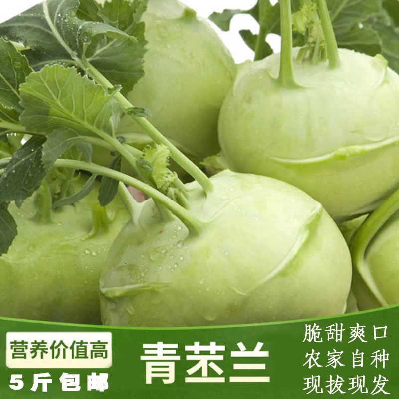 山西岚县 苤蓝农家自种 新鲜青苤蓝球茎丕兰 苤兰疙瘩蔬菜5斤包邮