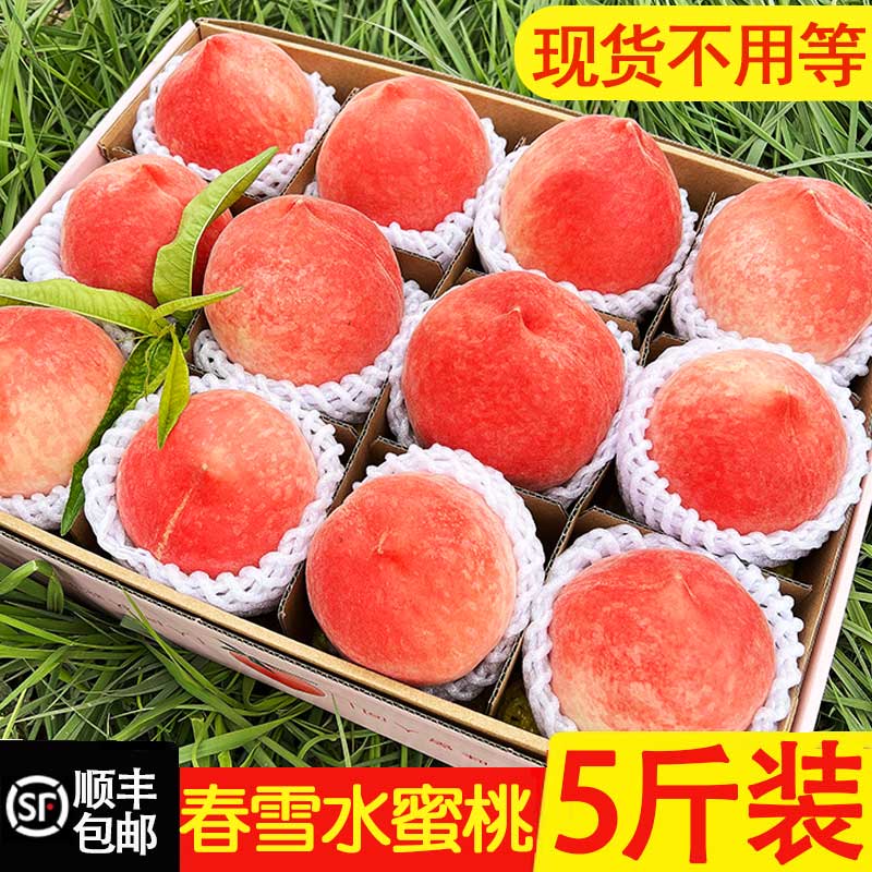 现货现摘春雪水蜜桃5斤 冬脆桃毛桃当季时令整箱孕妇桃子新鲜水果