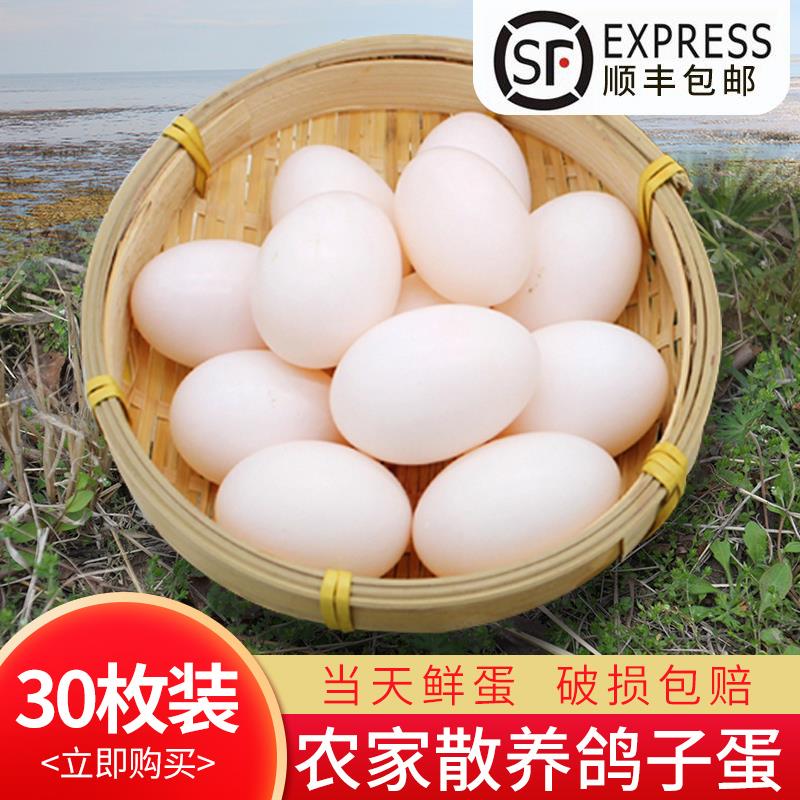 顺丰包邮新鲜鸽子蛋正品杂粮喂养新鲜鸽蛋农家散养白鸽蛋30枚个装