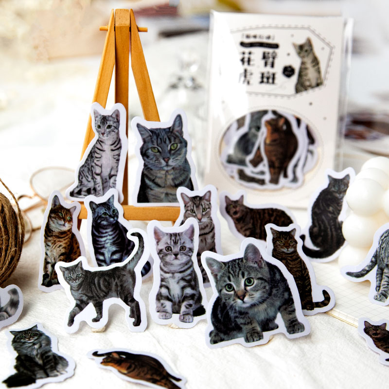 暮光之城猫咪行动系列硫酸纸贴纸包手账DIY素材装饰贴画6款30张入