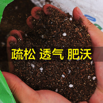 君子兰专用进口营养土易成活盆栽花卉通用有机营养土养花泥炭土