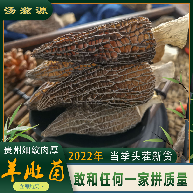 贵州羊肚菌干货头茬新货特级剪柄鲜煲汤食材500g散装肉厚菌菇