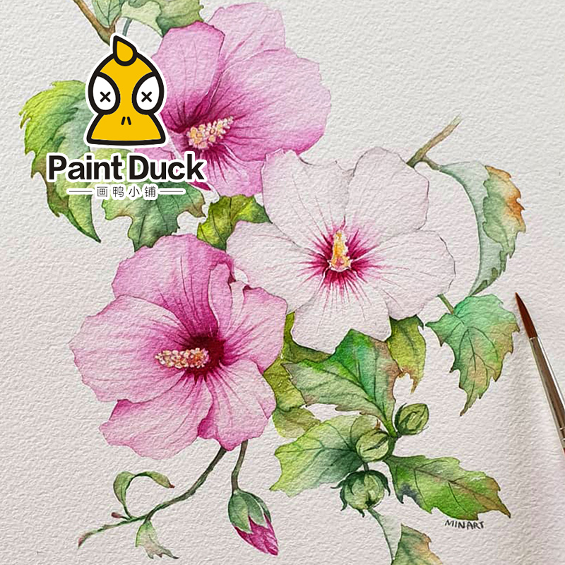 画鸭花卉植物水彩线稿临摹草稿本水彩纸填色纸上色卡初学入门线描