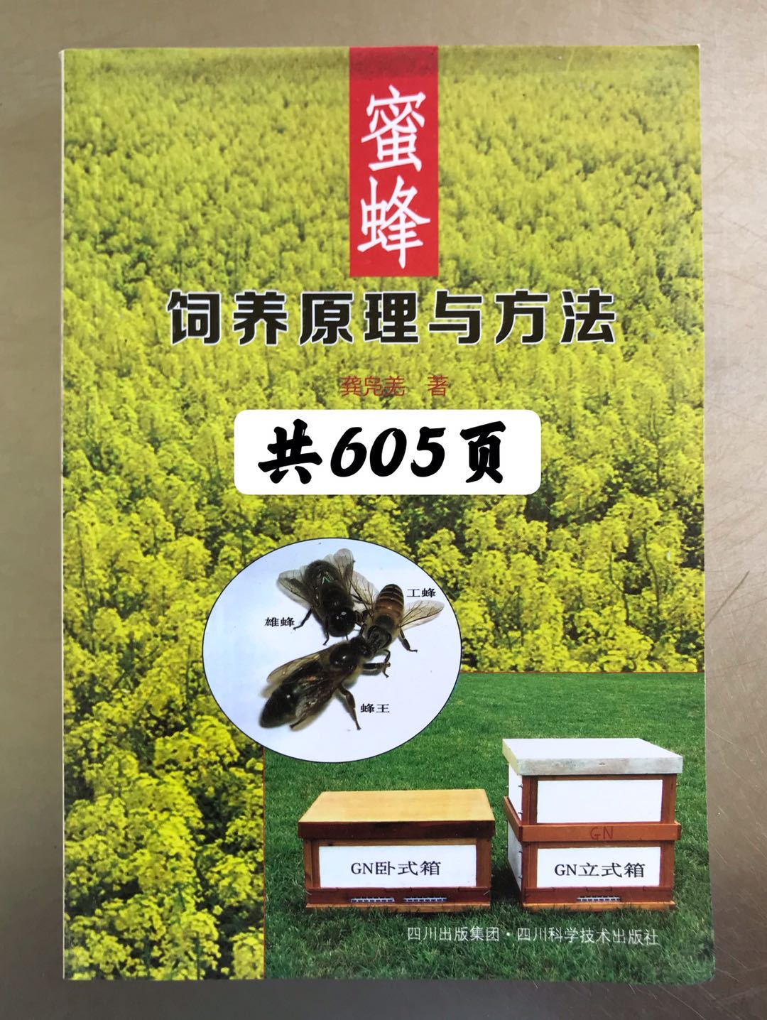 蜜蜂饲养原理与方法蜜蜂养殖技术GN箱蜜蜂蜂箱养蜂工具全套龚凫羌