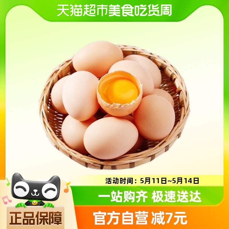 蛋悠品新鲜散养柴鸡蛋自养笨鸡蛋土鸡蛋45g*6枚谷草鸡蛋