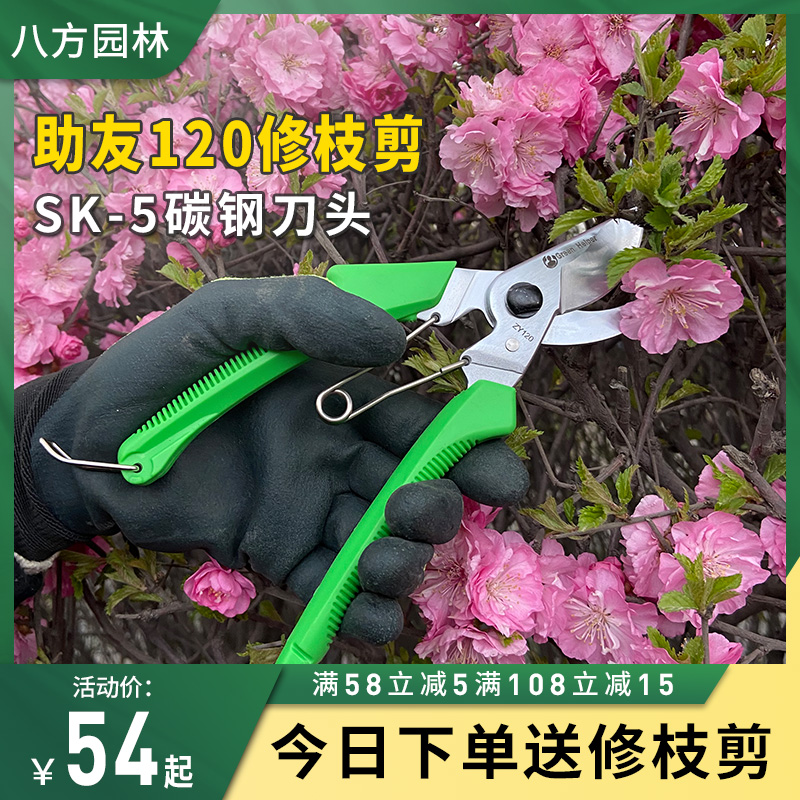 台湾助友120修枝剪高碳钢果树剪刀进口园艺剪粗枝剪花整枝剪工具