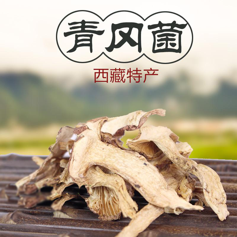 高山天然松茸青冈菌西藏特产不掺杂全干货松茸蘑菇青岗菌大袋包邮