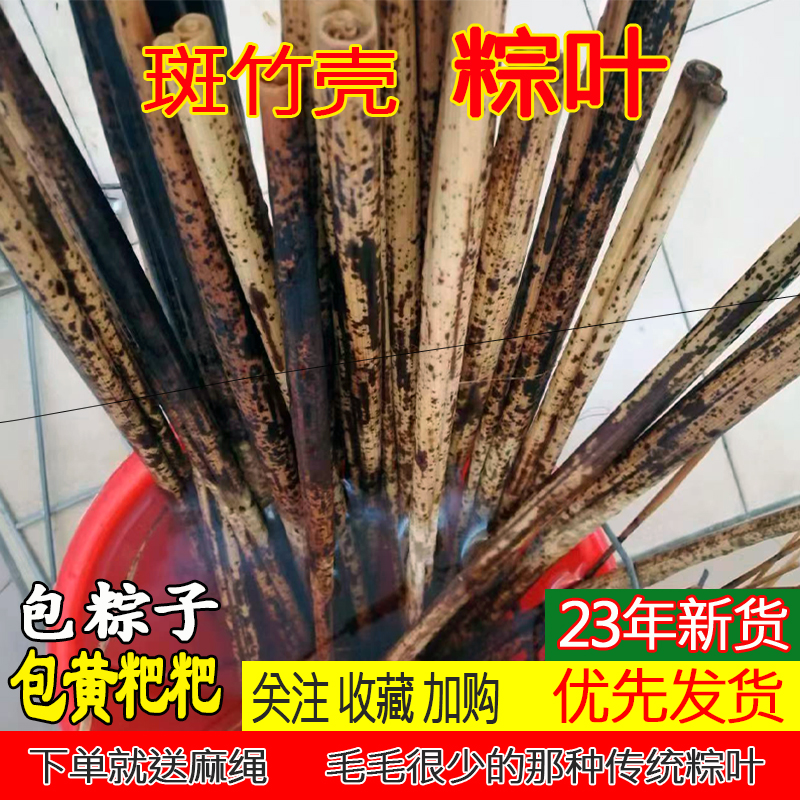 2023年新鲜重庆四川粽叶家用商用粽子用原辅料天然大端午节竹笋壳
