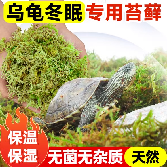 乌龟冬眠用品草龟巴西龟爬宠保温保湿椰土饲养箱苔藓垫材过冬屋
