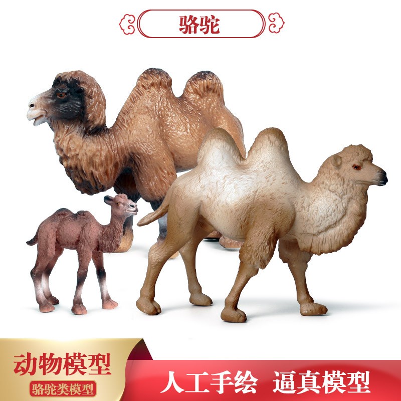 儿童仿真静态实心动物模型玩具骆驼装饰摆件早教认知手办套装