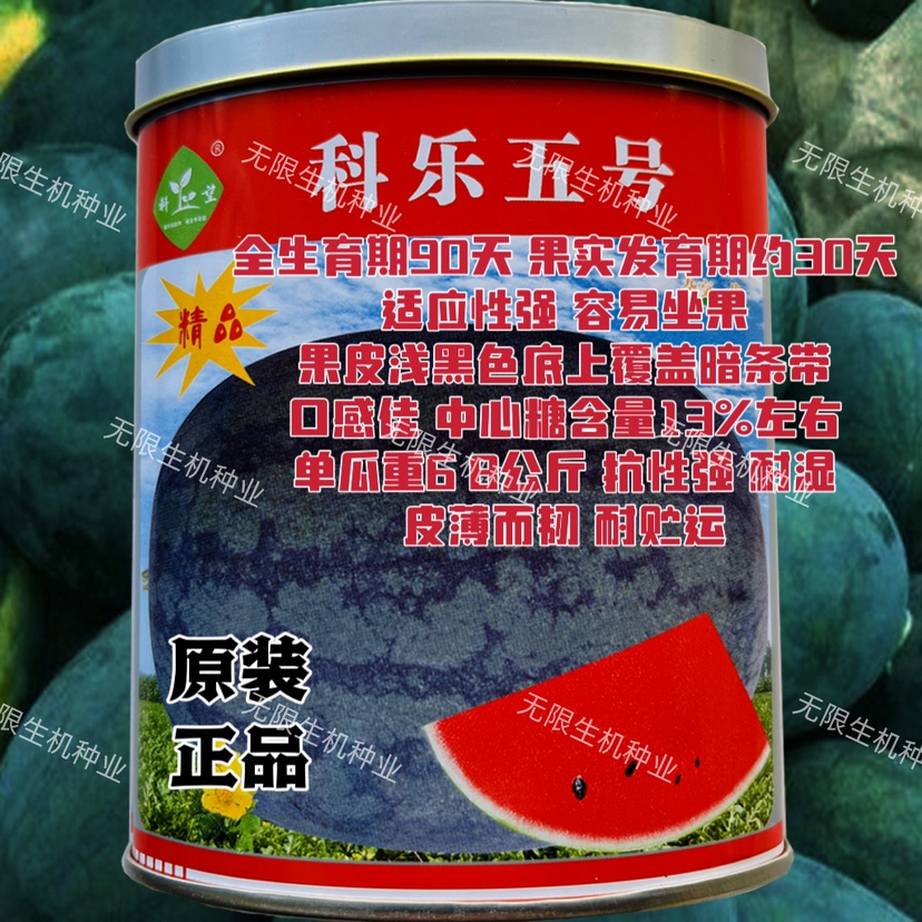 西瓜种子科乐五号杂交早熟西瓜种籽抗病高产椭圆形瓜水果种孑包邮