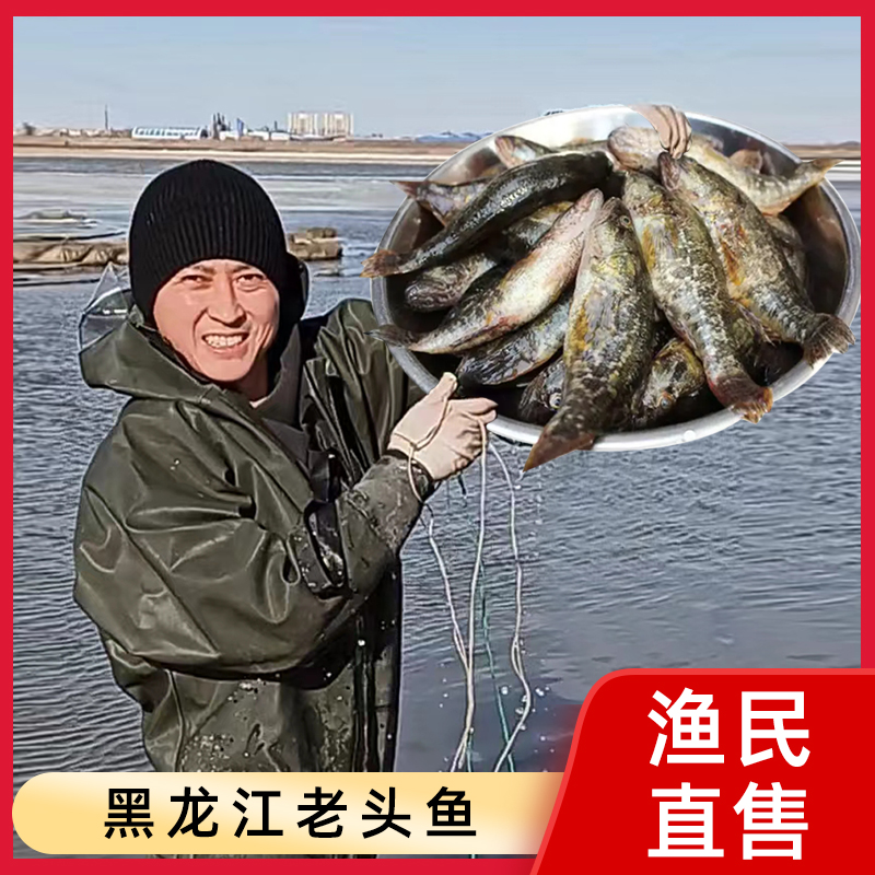 东北黑龙江特产冷水鱼老头鱼山胖头鱼野外生长新鲜活鱼速冻江杂鱼