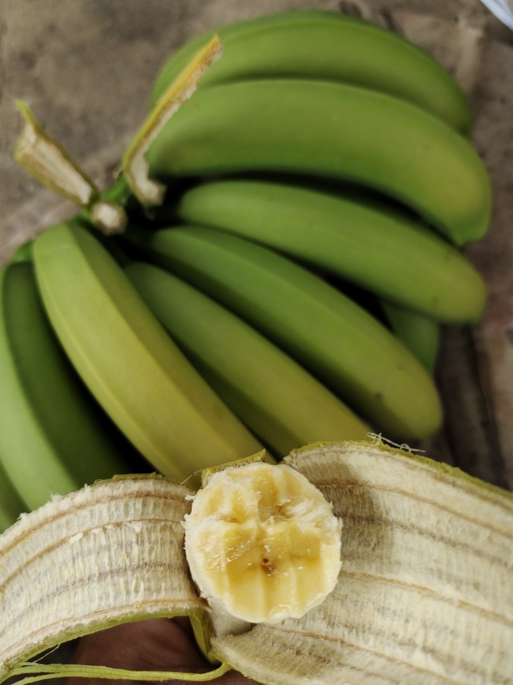 云南高山小香蕉新鲜当季水果10斤新鲜自然甜香蕉10斤装包邮小香蕉