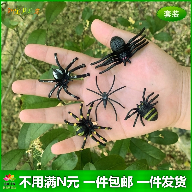 仿真小蜘蛛迷你硬质儿童玩具昆虫公园花草树木造景装饰小动物模型