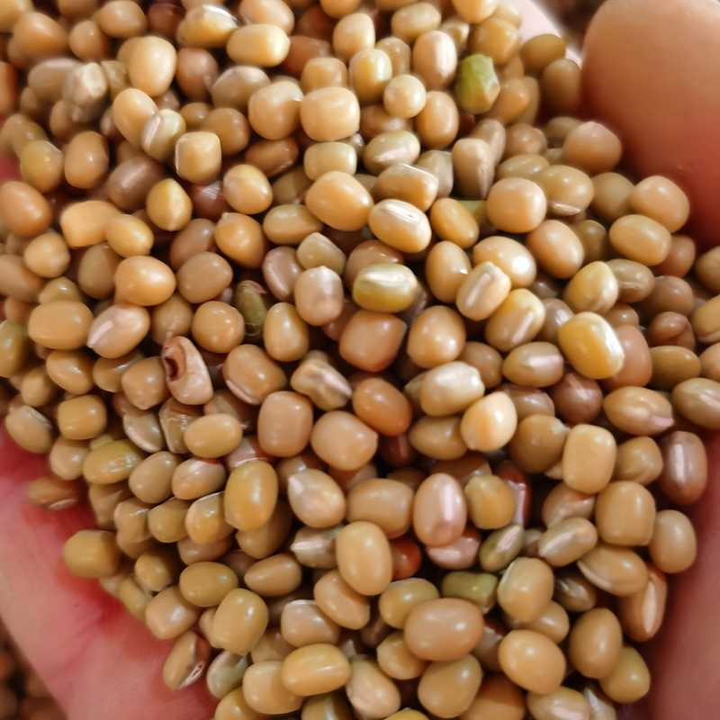 酸菜小豆贵州特产高原米豆新豆米酸菜豆米农家肥自种1/2/3/5斤