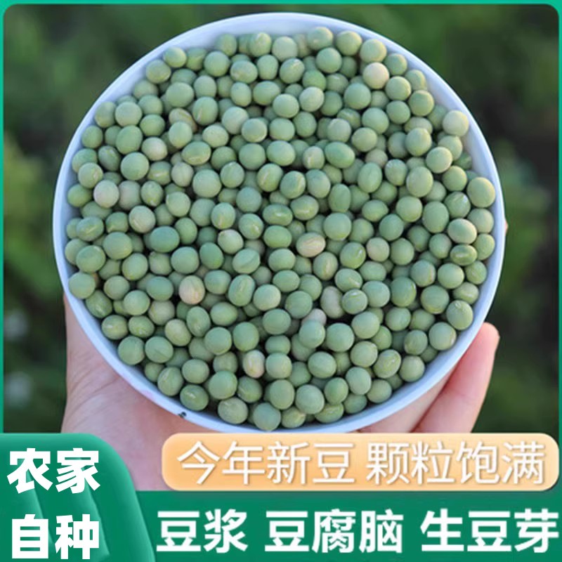 青豆500g东北农家自产非转基因青大豆生豆绿皮黄豆生豆芽煮豆浆
