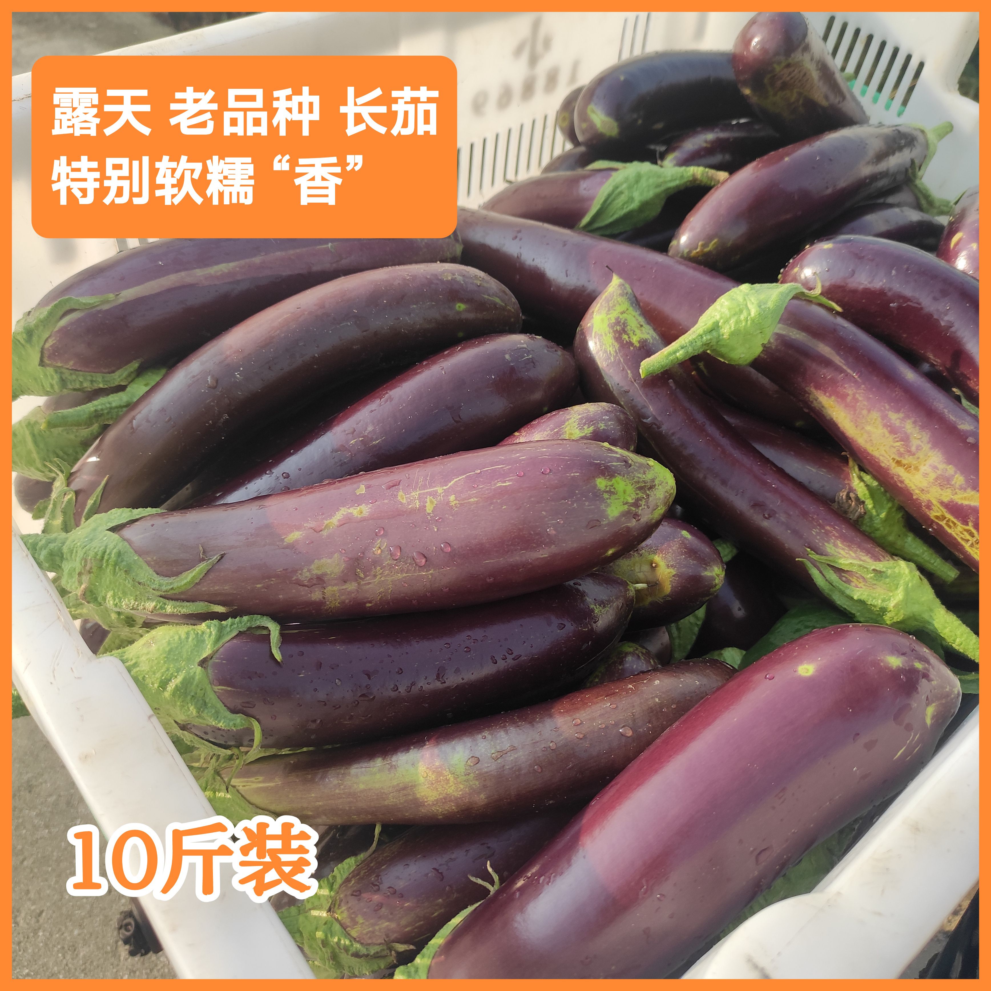 10斤批云南梁河露天老品种茄子新鲜摘紫皮长茄软糯香餐馆饭店蔬菜