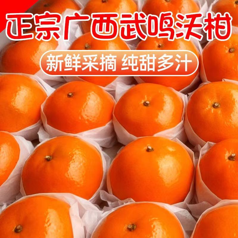 【现摘现发】正宗广西武鸣沃柑桔橘子新鲜应季水果5/10斤整箱包邮