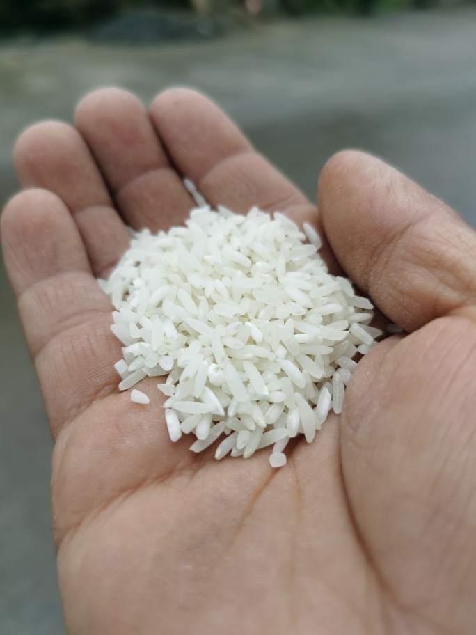 秦巴特产汉中大米新鲜农家自种大米新鲜水稻饭米5斤