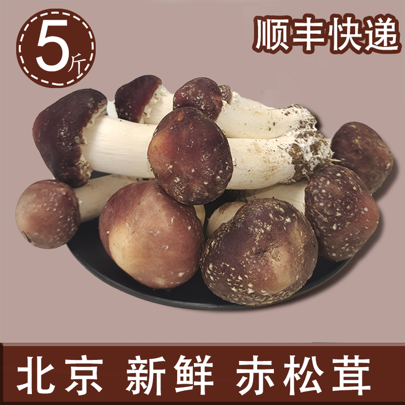 【顺丰航空】北京新鲜赤松茸5斤/3斤姬松茸 新鲜菌菇
