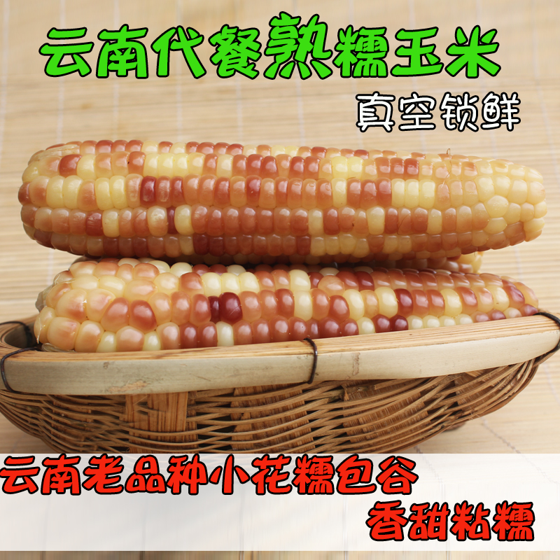 云南小花糯玉米真空包装新鲜香糯代餐饱腹食品玉米棒西双版纳品种