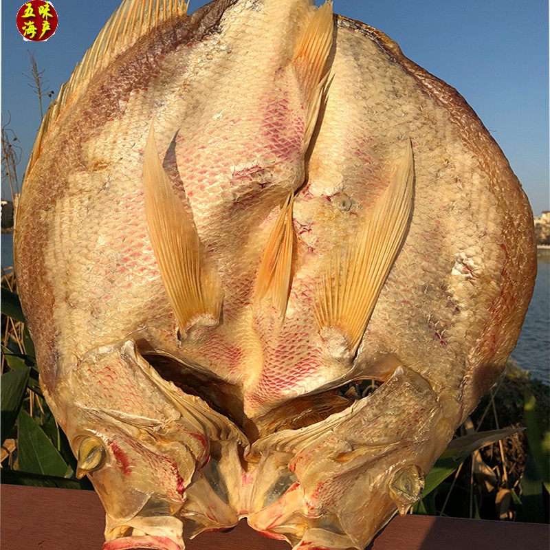 海南渔家新鲜3斤大红鱼干自晒无任何添加剂咸鱼干咸鱼茄子煲
