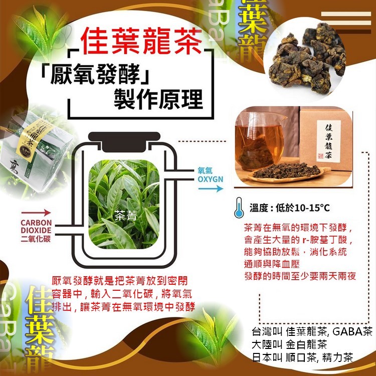 中國台灣佳葉龍烏龍茶伽瑪茶GABA茶活力茶金白龍茶 厭氧發酵150克