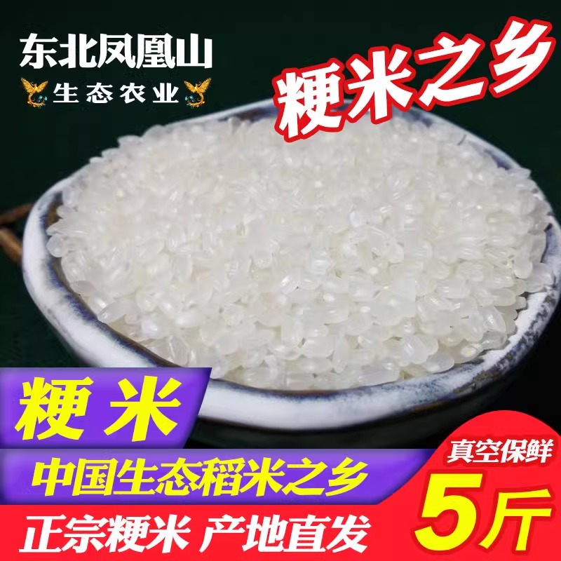 正宗粳米 十月晚粳2023年新米真梗米纯粳 5斤包邮 东北大米煮粥米
